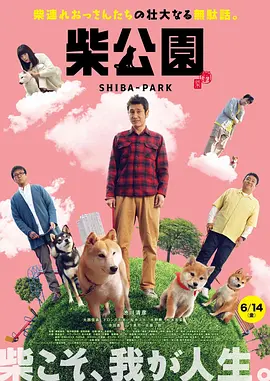 中文字幕剧情 av